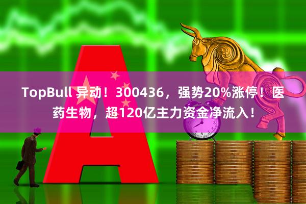 TopBull 异动！300436，强势20%涨停！医药生物，超120亿主力资金净流入！